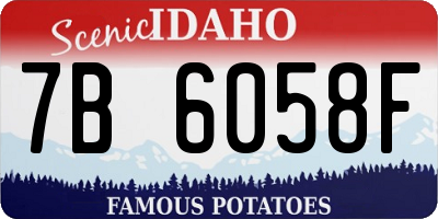 ID license plate 7B6058F