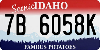 ID license plate 7B6058K