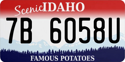 ID license plate 7B6058U