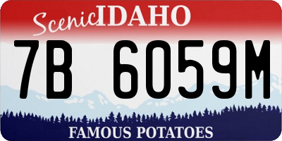 ID license plate 7B6059M