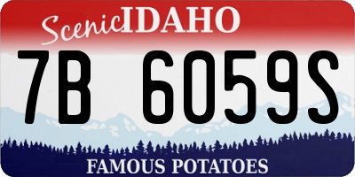 ID license plate 7B6059S