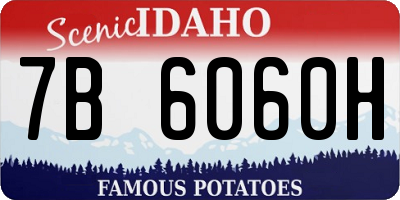 ID license plate 7B6060H