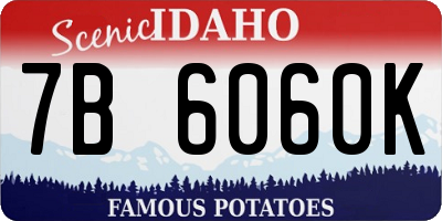 ID license plate 7B6060K