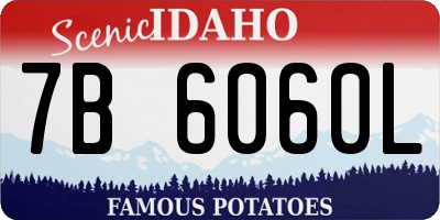 ID license plate 7B6060L