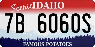 ID license plate 7B6060S