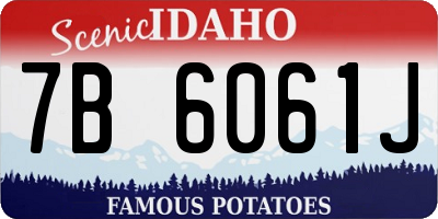 ID license plate 7B6061J