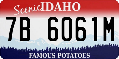 ID license plate 7B6061M