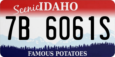 ID license plate 7B6061S