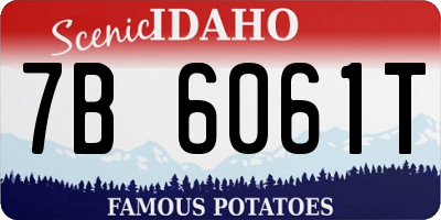 ID license plate 7B6061T