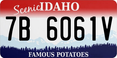 ID license plate 7B6061V