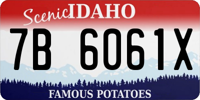 ID license plate 7B6061X