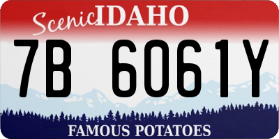 ID license plate 7B6061Y