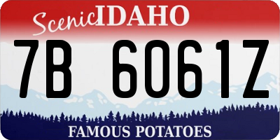 ID license plate 7B6061Z