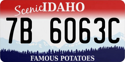 ID license plate 7B6063C