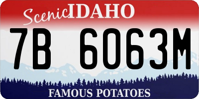 ID license plate 7B6063M