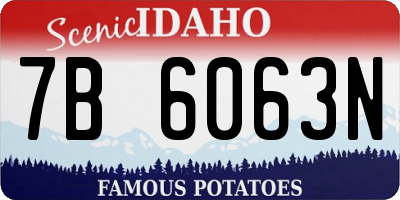 ID license plate 7B6063N