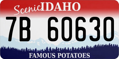 ID license plate 7B6063O