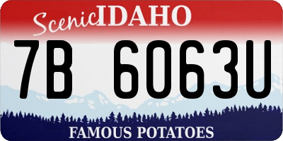 ID license plate 7B6063U