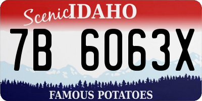 ID license plate 7B6063X