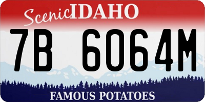 ID license plate 7B6064M