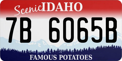 ID license plate 7B6065B