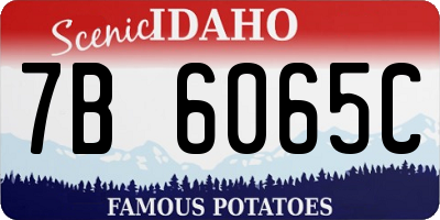 ID license plate 7B6065C