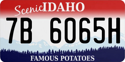 ID license plate 7B6065H