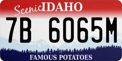 ID license plate 7B6065M