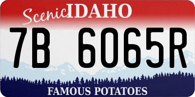 ID license plate 7B6065R