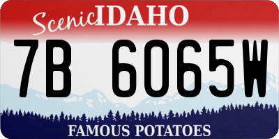 ID license plate 7B6065W