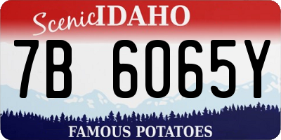 ID license plate 7B6065Y