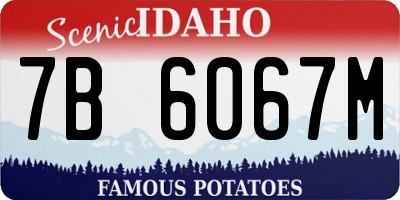ID license plate 7B6067M