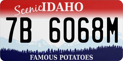 ID license plate 7B6068M