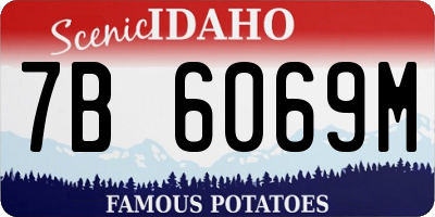 ID license plate 7B6069M