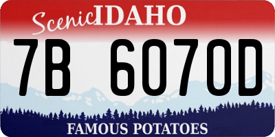 ID license plate 7B6070D