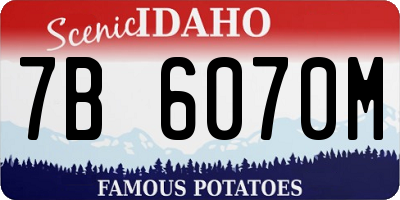ID license plate 7B6070M