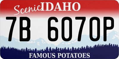 ID license plate 7B6070P