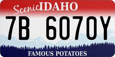 ID license plate 7B6070Y