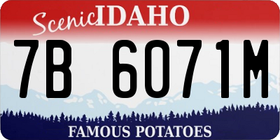 ID license plate 7B6071M