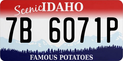 ID license plate 7B6071P