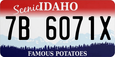 ID license plate 7B6071X