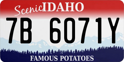 ID license plate 7B6071Y