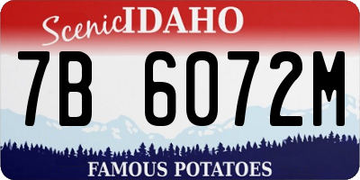ID license plate 7B6072M