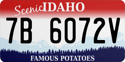 ID license plate 7B6072V