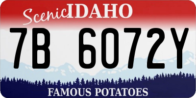 ID license plate 7B6072Y
