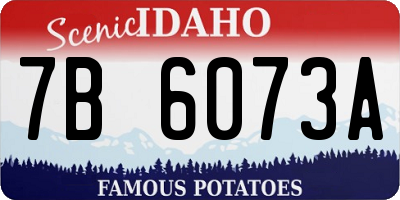 ID license plate 7B6073A