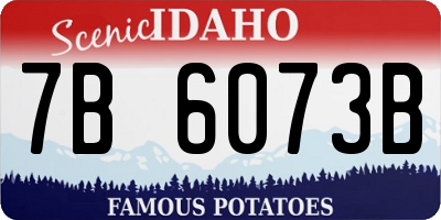 ID license plate 7B6073B