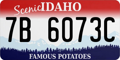 ID license plate 7B6073C