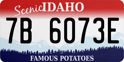 ID license plate 7B6073E