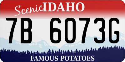 ID license plate 7B6073G